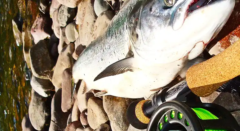 Holiday home in Nordreisa