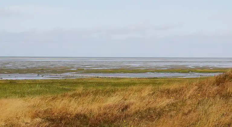 Holiday home in Ribe