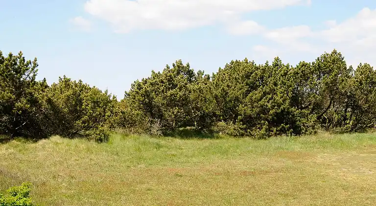 Holiday home in Blåvand