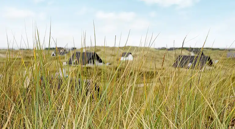 Holiday home in Ringkobing