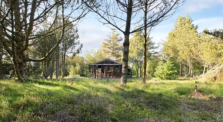 Sommerhus i Ålbæk