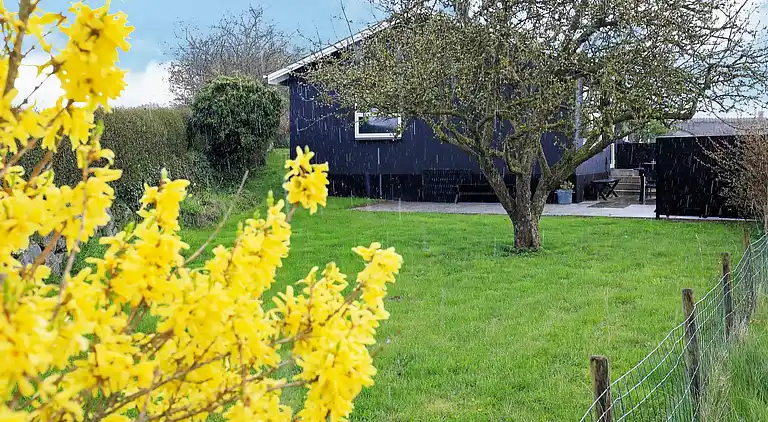 Feriebolig i Frørup