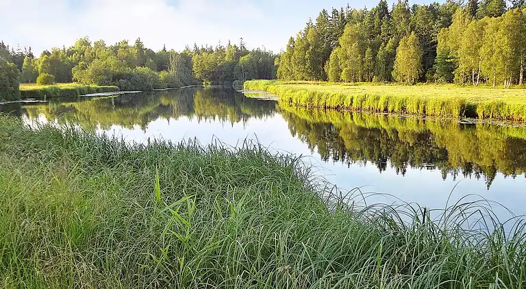 Sommerhus i Älmhult V