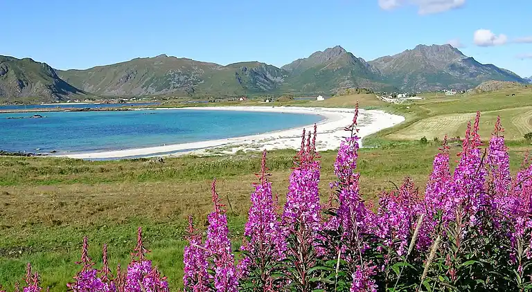 Holiday home in Hovden