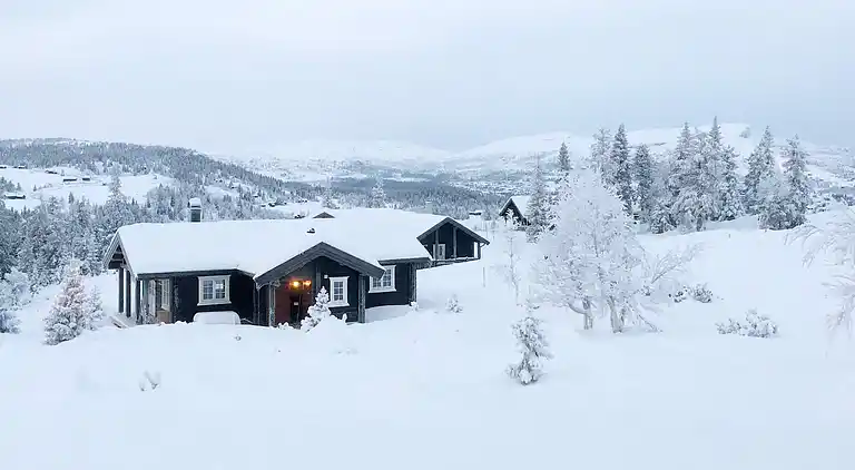 Vakantiehuis in Skei