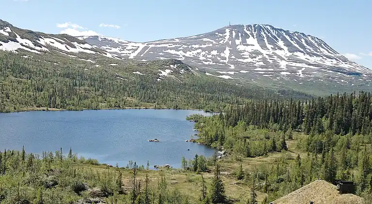 Sommerhus i Hjartdal