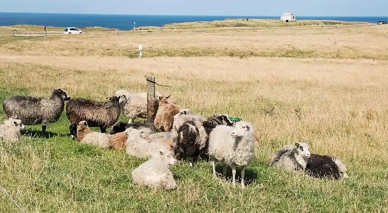 Holiday home in Lemvig