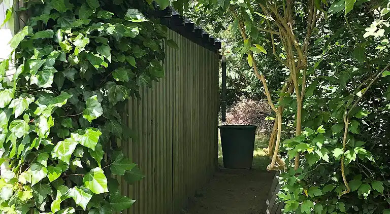 Vakantiehuis in Kongsnæs