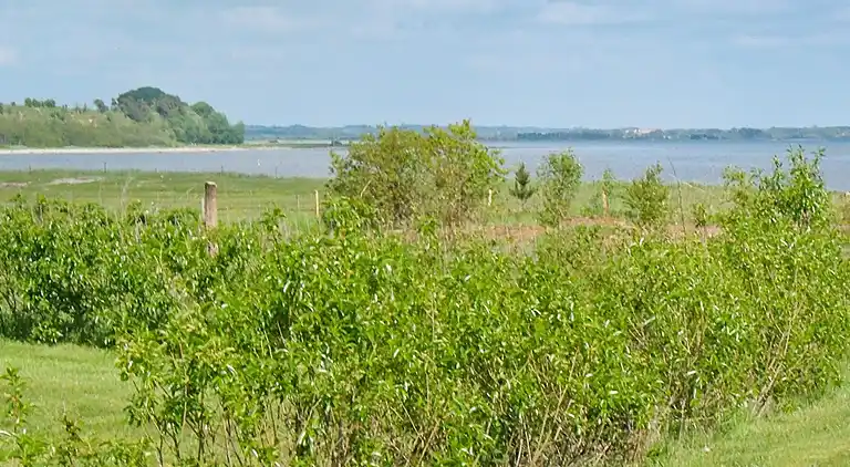 Holiday home in Farsø