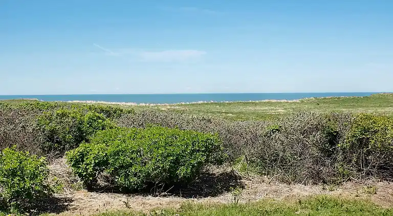 Semesterbostad vid Nr Lyngby Strand
