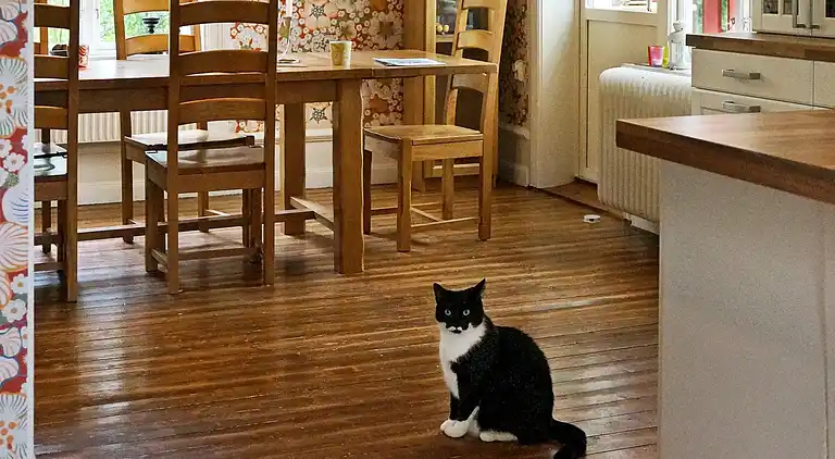 Sommerhus i Söderhamn SV