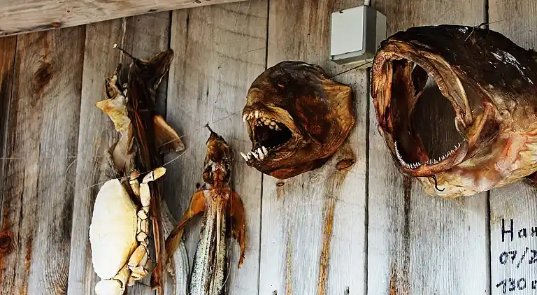 Sommerhus i Vågland