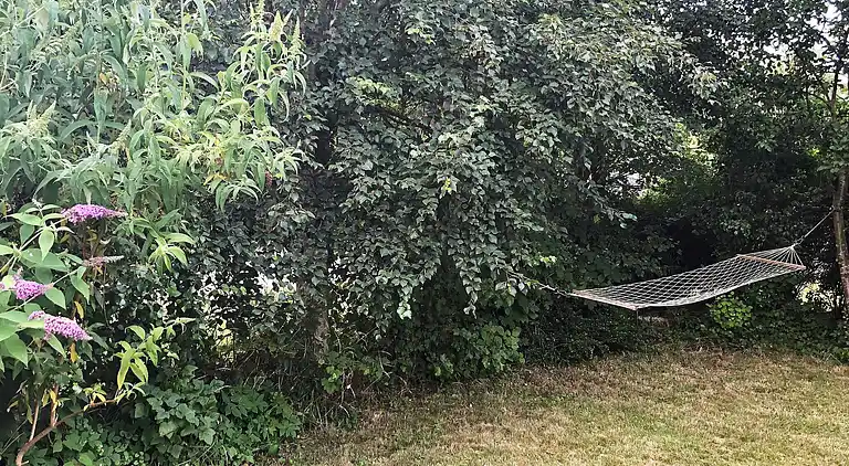 Vakantiehuis in Kongsnæs