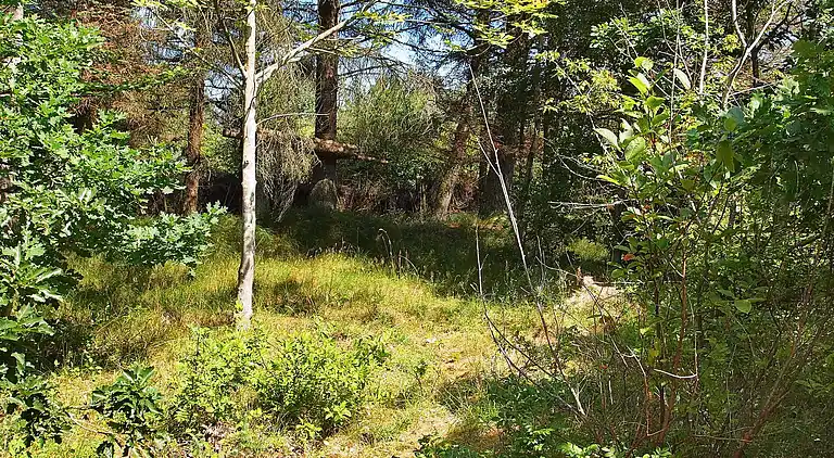 Holiday home in Nr Lyngby Strand