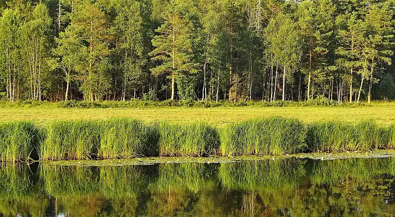 Sommerhus i Älmhult V