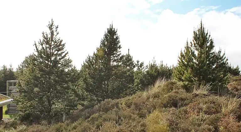 Holiday home in Bolilmark