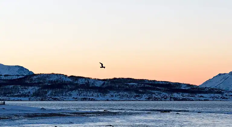 Holiday home in Sør-Lenangen