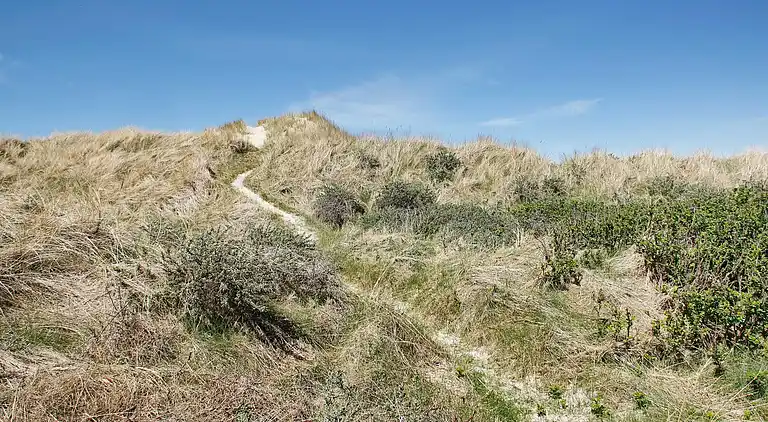 Casa de vacaciones en Brovst