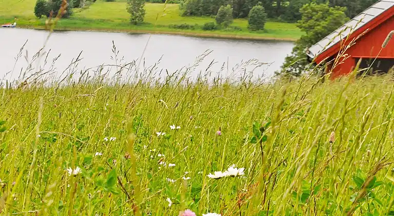 Holiday home in Vänersborg