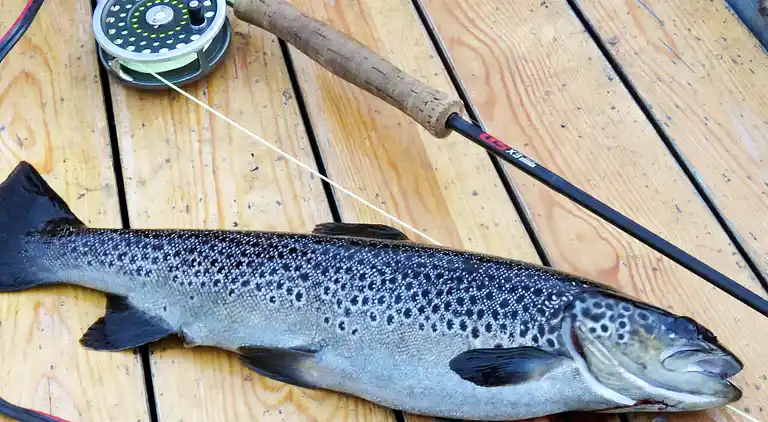 Casa vacanze in Älvdalen S