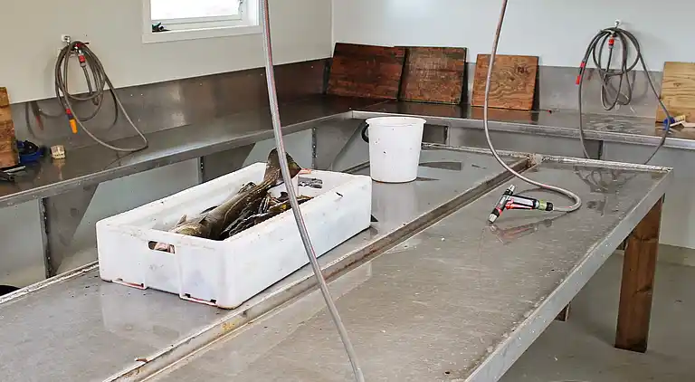 Holiday home in Vestvågøy