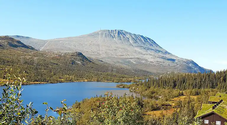 Sommerhus i Hjartdal