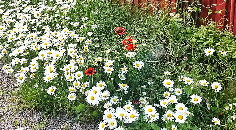 Holiday home in Västervik