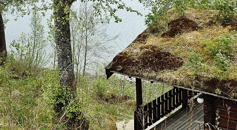 Sommerhus i Surnadalsøra
