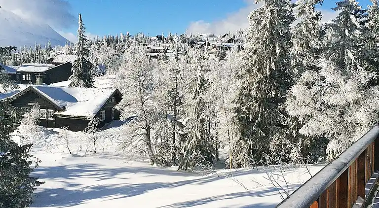 Sommerhus i Hjartdal