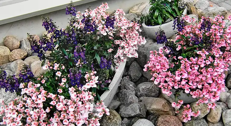 Sommerhus i Tjörn S