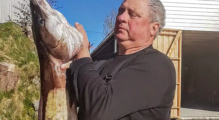 Holiday home in Austrheim