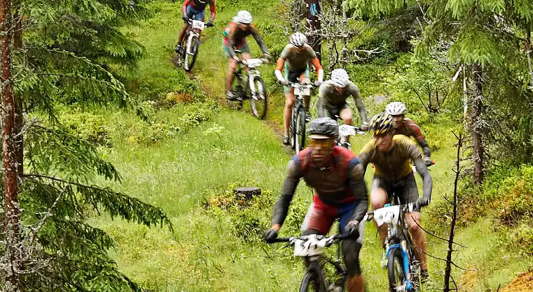 Ferienhaus in Innbygda