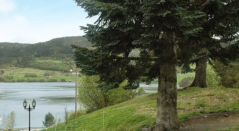 Sommerhus i Vågland