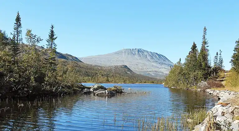 Sommerhus i Hjartdal