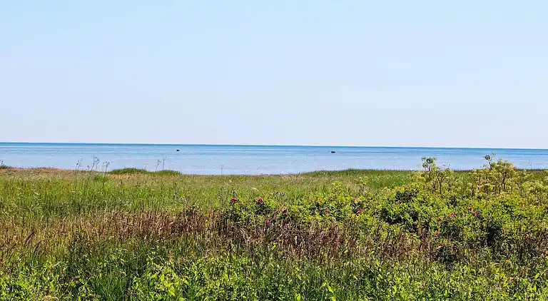 Sommerhus ved Helberskov Strand