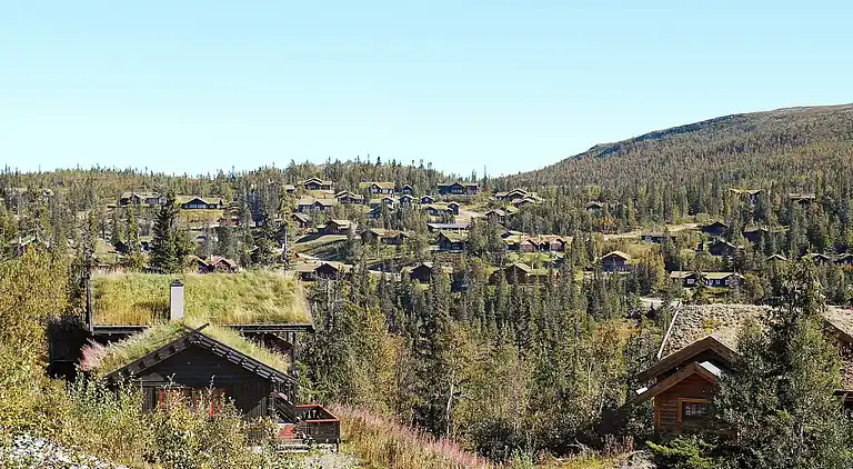 Sommerhus i Hjartdal