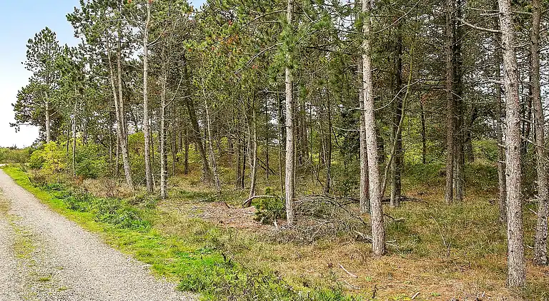 Holiday home in Havneby