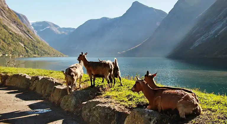 Holiday home in Langhaugane
