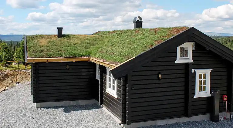 Vakantiehuis in Skei