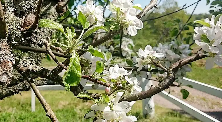 Holiday home in Västervik