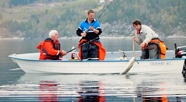 Sommerhus i Eidsvåg