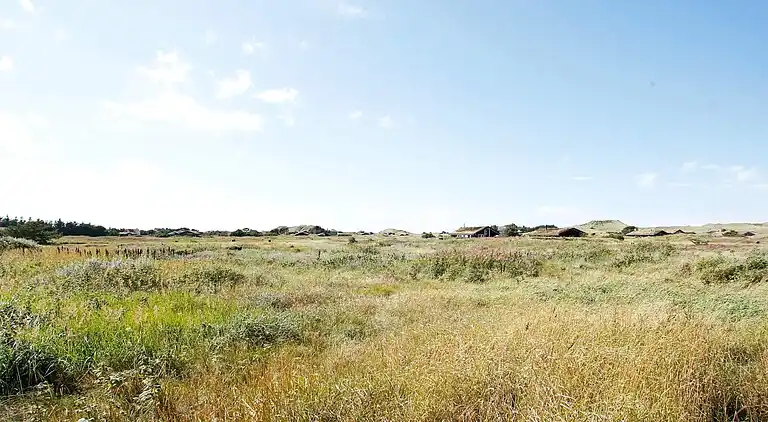 Sommerhus i Skagen