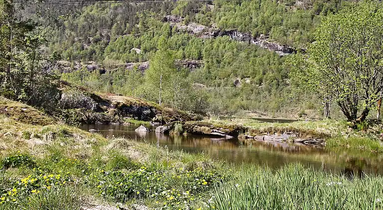Holiday home in Norddalsfjord