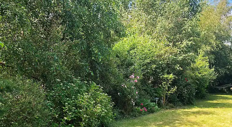 Vakantiehuis in Kongsnæs