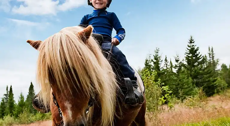 Ferienhaus in Innbygda