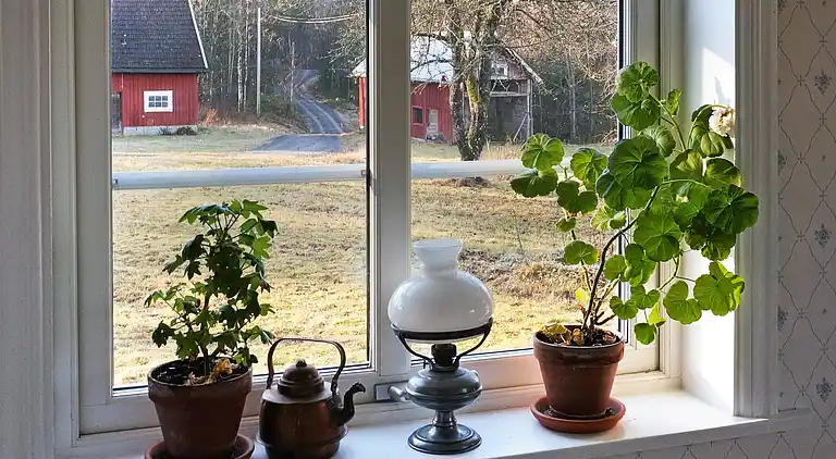 Sommerhus i Älmhult Ö