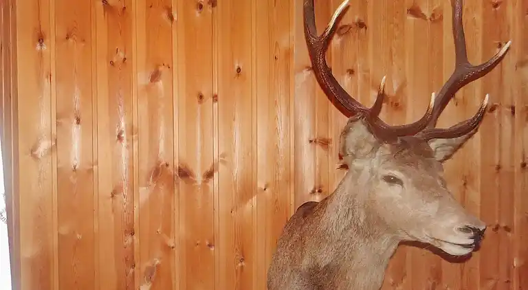 Holiday home in Voll