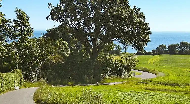 Sommerhus i Augustenborg
