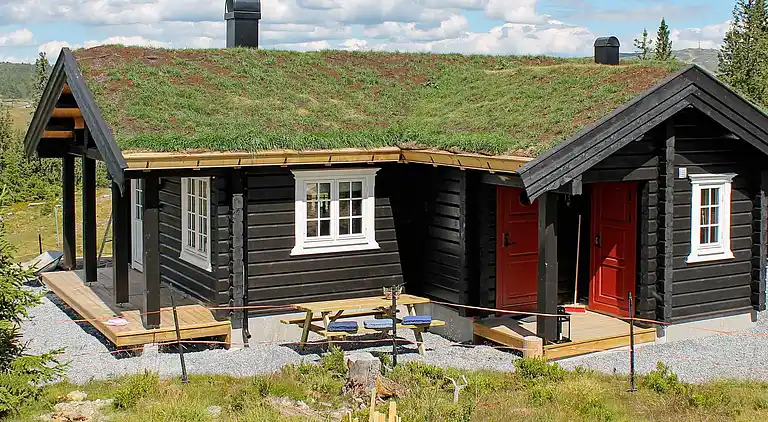 Vakantiehuis in Skei