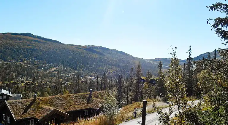 Sommerhus i Hjartdal